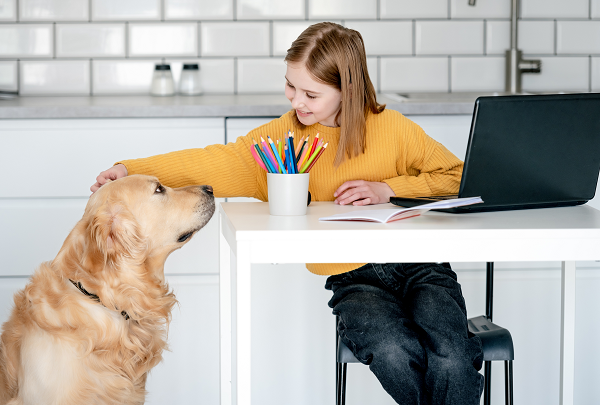 image for Back to School Prep for your Pet